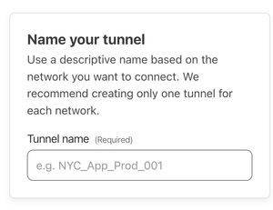 A screenshot of Cloudflare Tunnel page, showing the textbox labeled 'Name your tunnel'